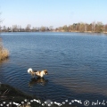 Jezero Sadská