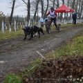 Royal Canin mid a sprint Stochov